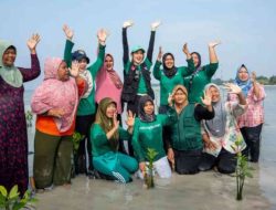 Cinta Laura dan LindungiHutan Kolaborasi Selamatkan Pulau Pari Lewat Penanaman 739 Pohon Mangrove