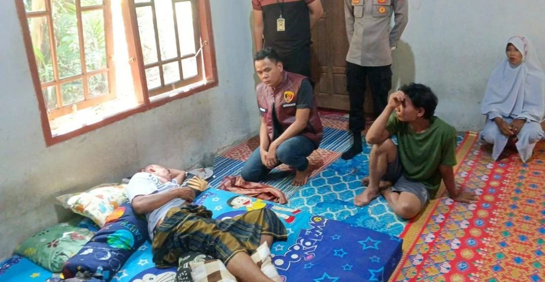 Ilustrasi hutan atau perkebunan tempat terjadinya konflik satwa liar