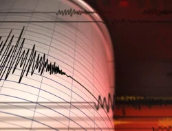 Gempa Berkekuatan Magnitudo 4,7 Guncang Wilayah Kepulauan Sangihe Sulawesi Utara Hari Ini